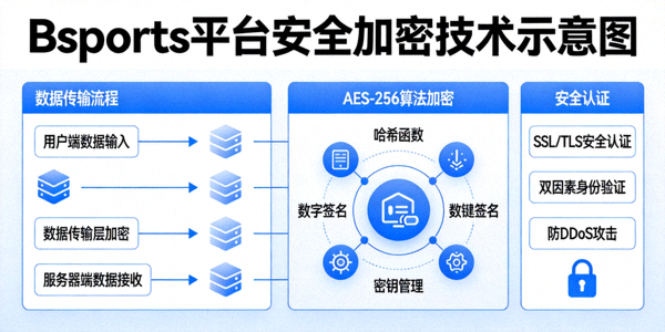 Bsports平台安全加密技术示意图